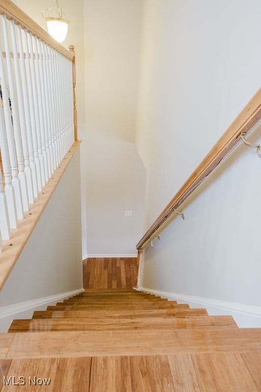 staircase with hardwood / wood-style floors