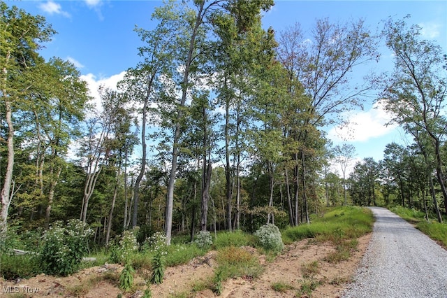 Listing photo 2 for TRACT6 Happy Hollow Rd, Waverly WV 26184