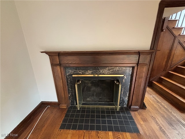 details featuring wood-type flooring and a fireplace