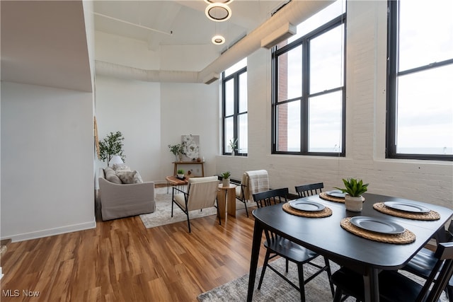 dining space with wood-type flooring and plenty of natural light