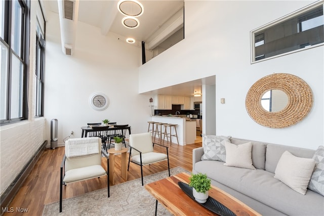 living room with dark hardwood / wood-style flooring and a high ceiling