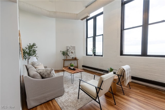 living area with a wealth of natural light and light wood-type flooring