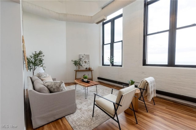 1133 W 9th St Unit 701, Cleveland, OH 44113 - living area with healthy amount of natural light, wood finished floors, and baseboards