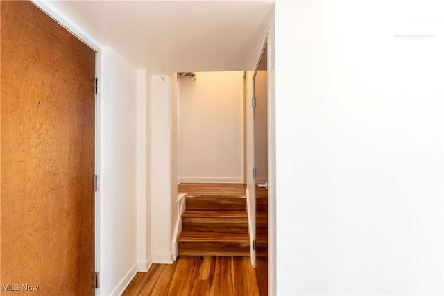 stairs with wood-type flooring