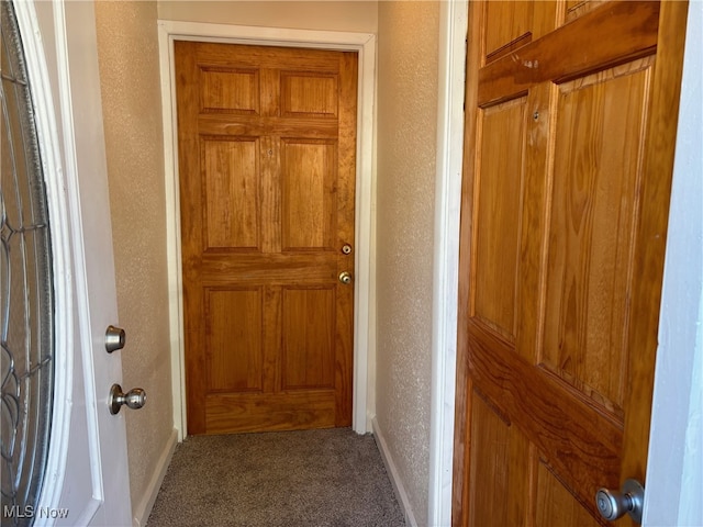 interior space with carpet floors