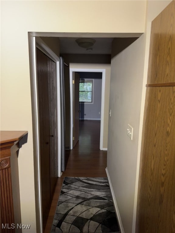 hallway featuring dark wood-type flooring