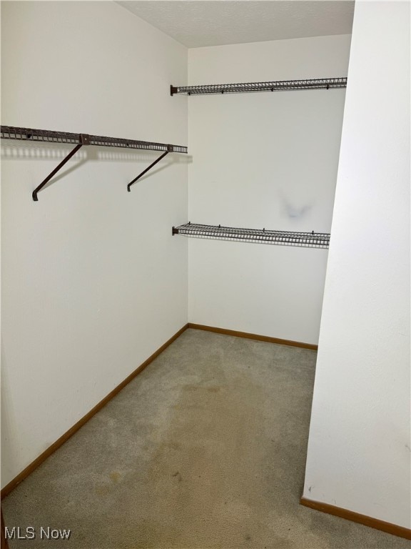 spacious closet with carpet floors