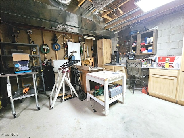 basement with a workshop area