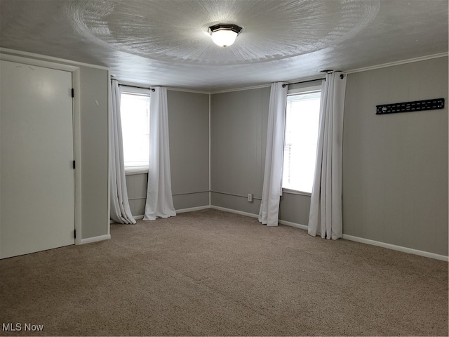 unfurnished room featuring light carpet