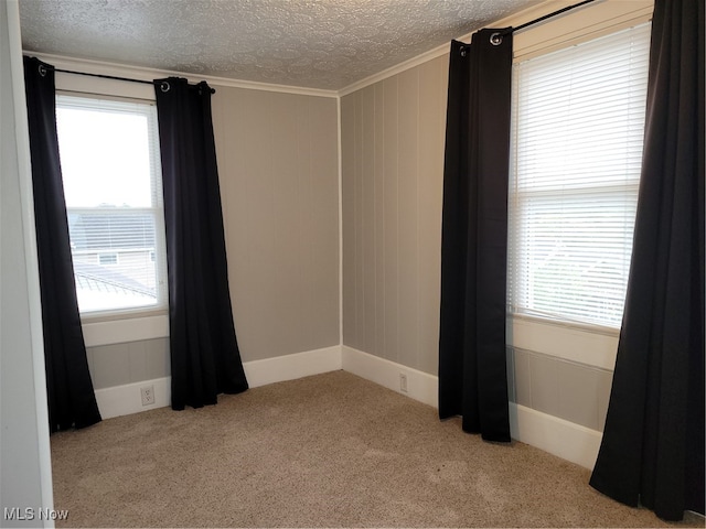 carpeted empty room featuring a textured ceiling and ornamental molding