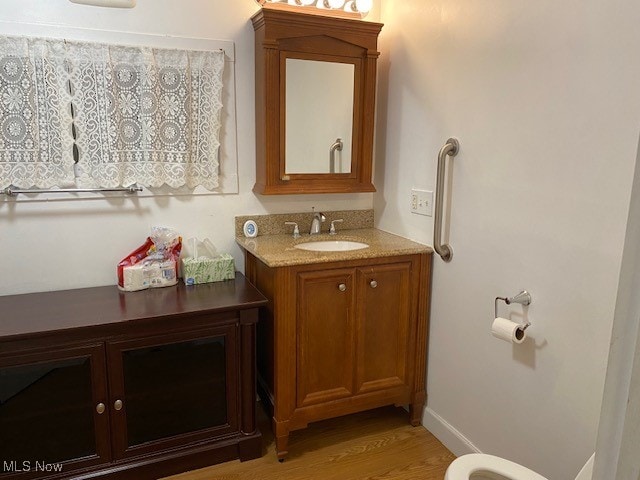 bathroom with wood-type flooring and vanity