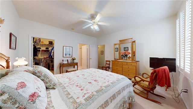 bedroom featuring carpet, a spacious closet, ceiling fan, and a closet