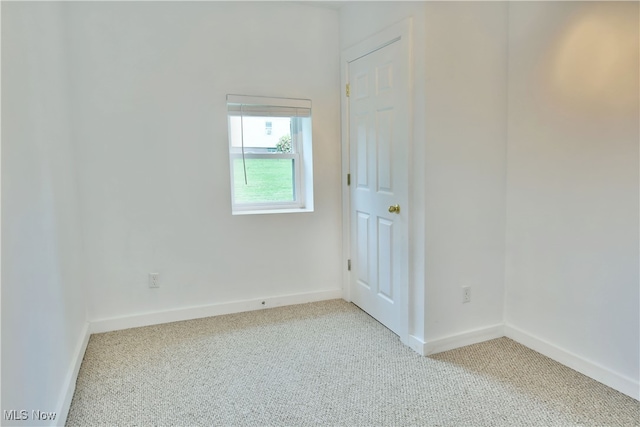 spare room with carpet