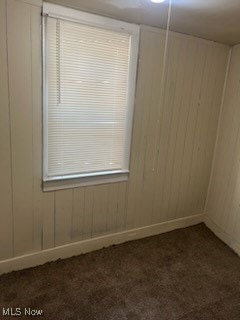 carpeted spare room featuring wooden walls