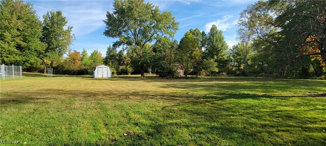 view of yard featuring a shed