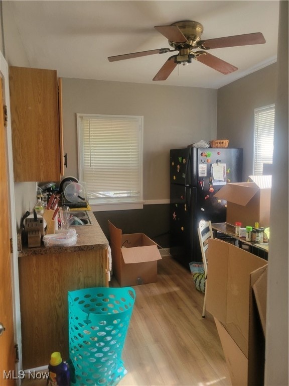 kitchen with light wood-type flooring, black fridge, sink, ornamental molding, and ceiling fan