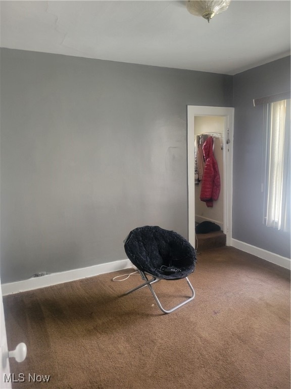 sitting room with carpet flooring