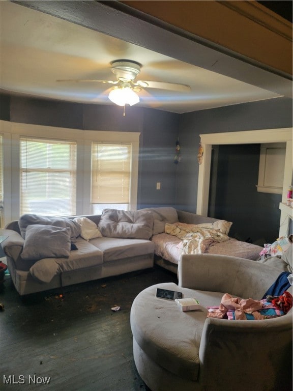 living room with ceiling fan and dark hardwood / wood-style flooring