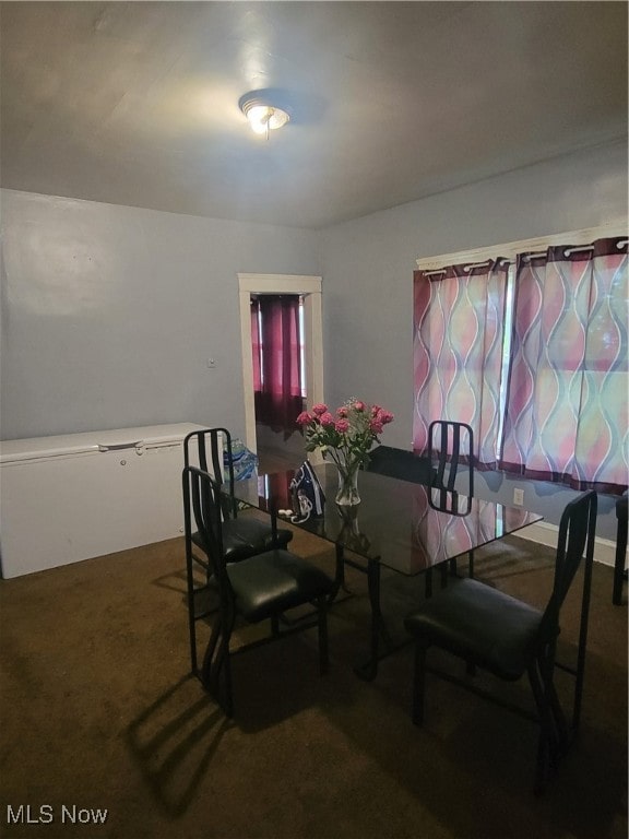 dining room featuring carpet floors