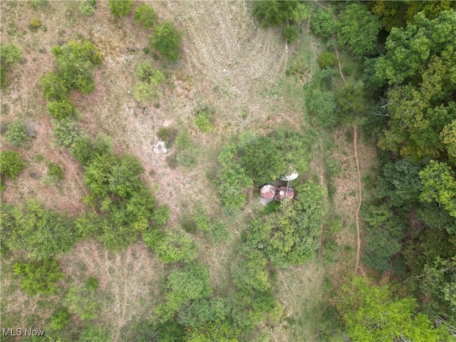 10206 Gillespie Run Rd, Petroleum, WV 26161 - aerial view