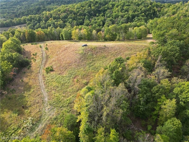 10206 Gillespie Run Rd, Petroleum, WV 26161 - view of property location featuring a heavily wooded area