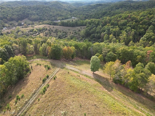10206 Gillespie Run Rd, Petroleum, WV 26161 - aerial view of property's location featuring a forest