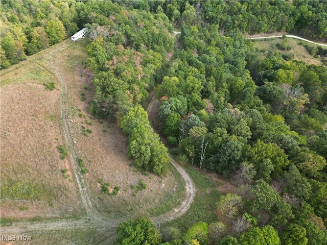 10206 Gillespie Run Rd, Petroleum, WV 26161 - view of property location with a heavily wooded area