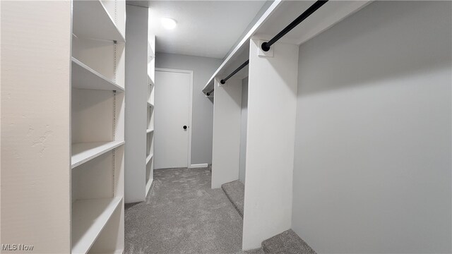 walk in closet featuring light colored carpet