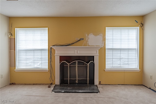 room details with a textured ceiling and carpet