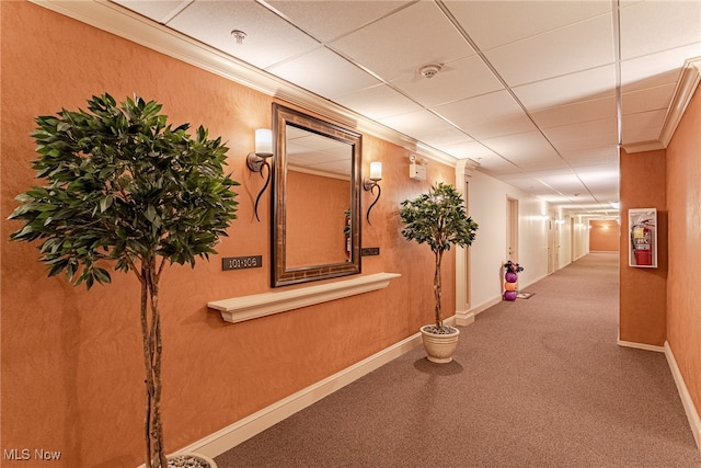 hall with ornamental molding and carpet flooring