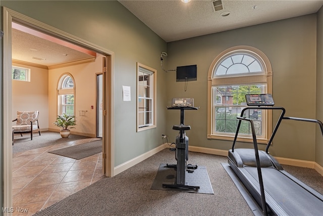 workout room with a textured ceiling, light carpet, and plenty of natural light