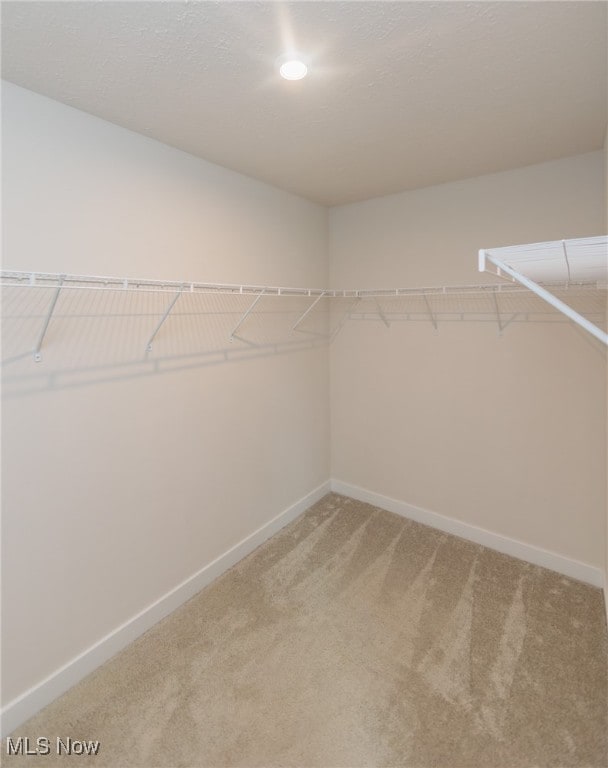 walk in closet featuring carpet floors