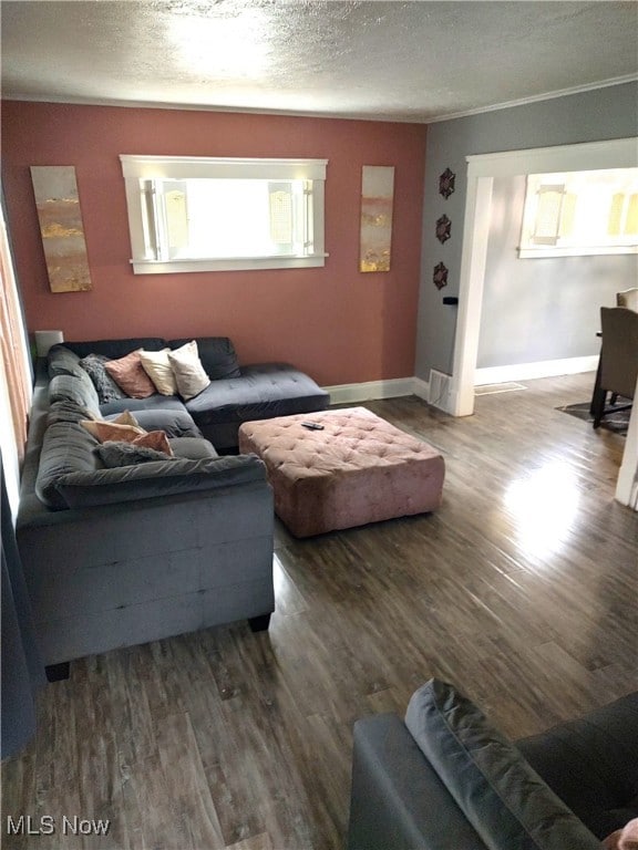 living room featuring a textured ceiling, ornamental molding, and hardwood / wood-style floors