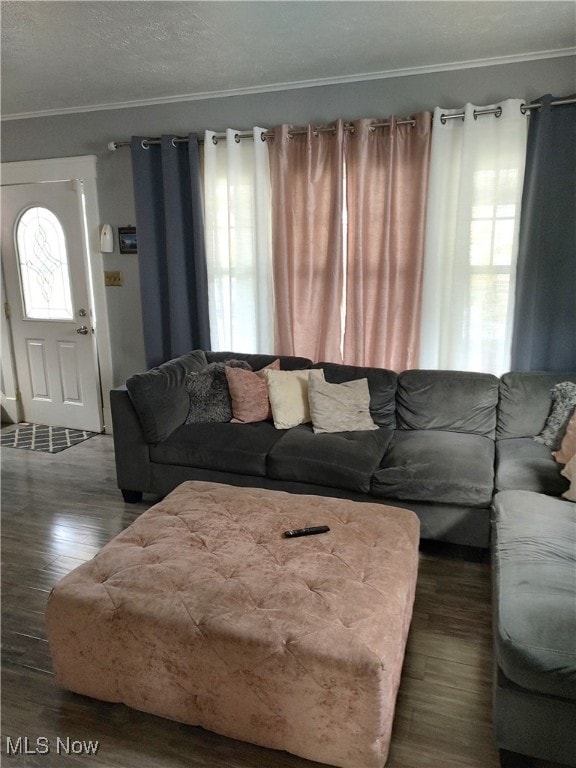 living room with a textured ceiling, crown molding, and dark hardwood / wood-style flooring