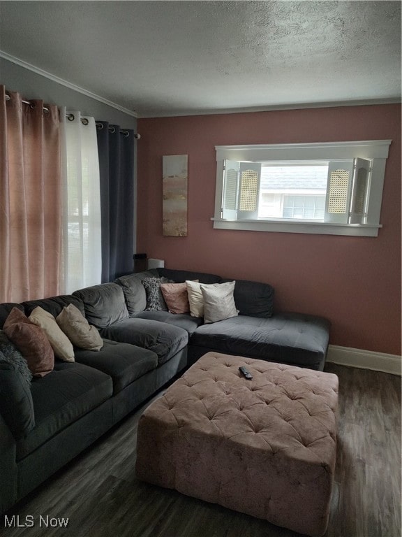 living room featuring a textured ceiling, ornamental molding, and hardwood / wood-style flooring