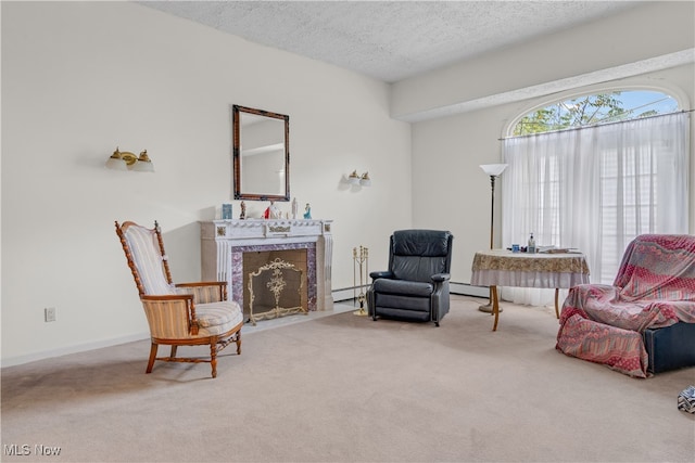 living area featuring a textured ceiling, carpet flooring, and a baseboard radiator