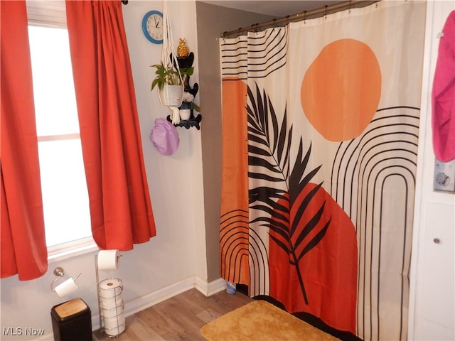 bathroom featuring hardwood / wood-style floors