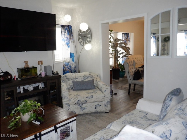 living room with hardwood / wood-style floors