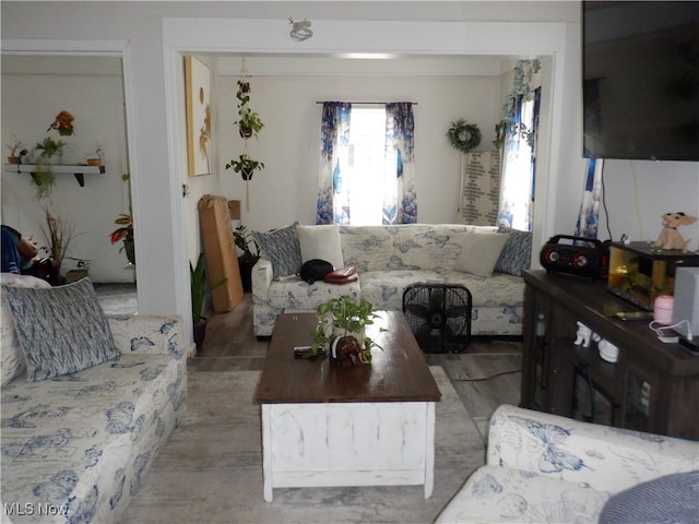 living room featuring light hardwood / wood-style flooring