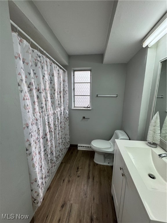 bathroom featuring toilet, wood-type flooring, and vanity