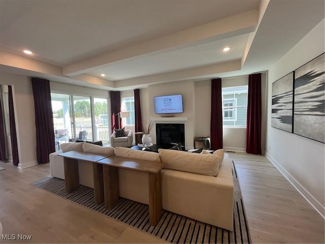 living room with plenty of natural light and light hardwood / wood-style flooring