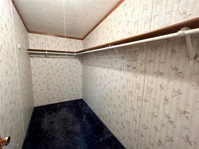 walk in closet featuring vaulted ceiling