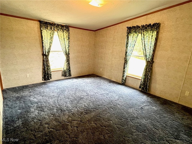 carpeted spare room with a textured ceiling, crown molding, and a wealth of natural light