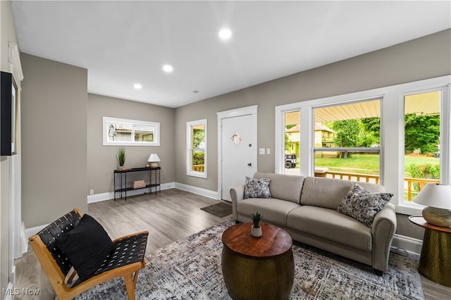 living room featuring hardwood / wood-style floors