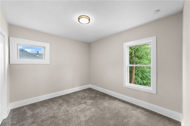 empty room featuring carpet floors