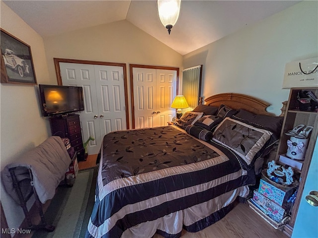 bedroom featuring wood-type flooring, lofted ceiling, and two closets