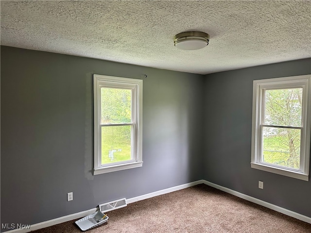 carpeted empty room with a textured ceiling and plenty of natural light