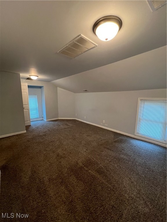 additional living space featuring lofted ceiling and carpet floors