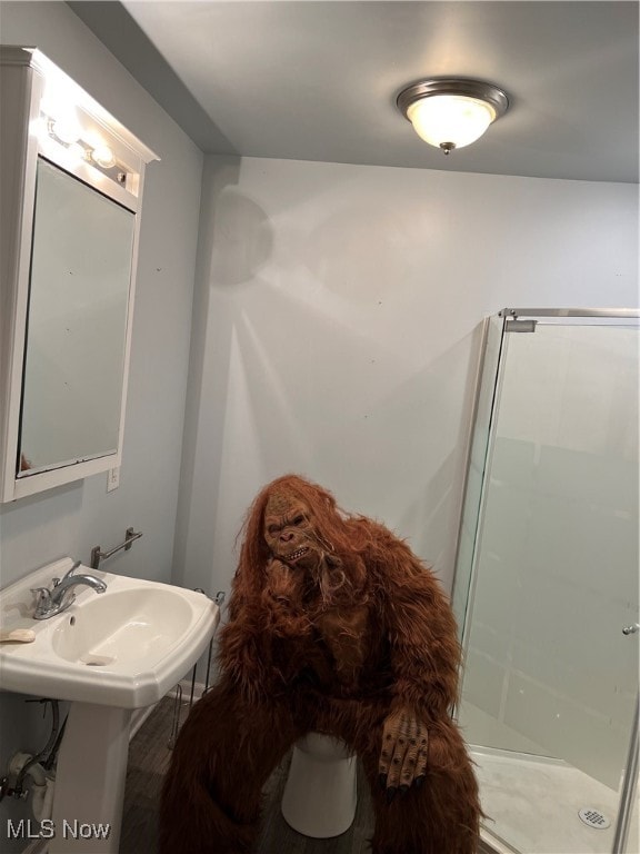 bathroom with a shower with shower door and sink