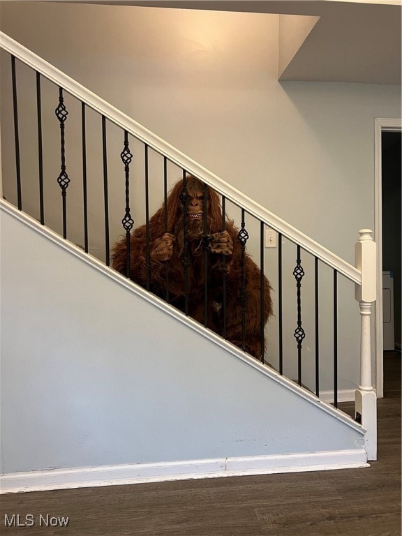 staircase featuring hardwood / wood-style flooring